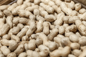 Food and drinks. Everyday food