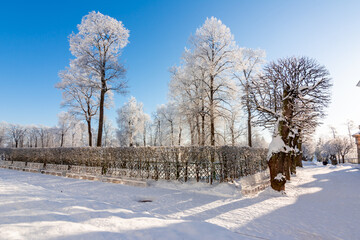 Catherine park in winter, Tsarskoe Selo (Pushkin), St. Petersburg, Russia