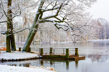 Winter in Catherine park, Tsarskoe Selo (Pushkin), Saint Petersburg, Russia