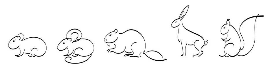 Black outline set of squirrel, mouse, hamster, hare, rabbit, guinea pig, beaver