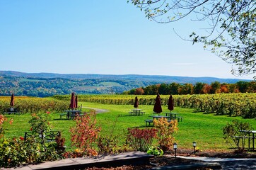 Vineyards on Seneca Lake, in Finger Lakes region, New York. Wine production is one of the main agricultural industries in this area. Outside table settings for wine tasting 