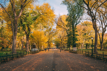 Fototapeta premium Autumn color at The Mall, in Central Park, Manhattan, New York City