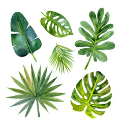 Set of bright watercolor tropical leaves (palm leaves, banana leaf, monstera). For the design of postcards, stickers, posters and more.