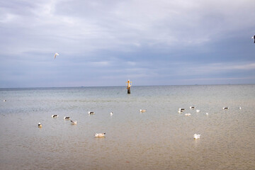  a lonely sea buoy protruding from the steel, calm sea