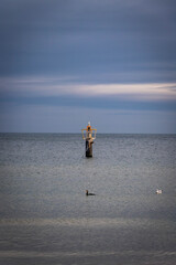  a lonely sea buoy protruding from the steel, calm sea
