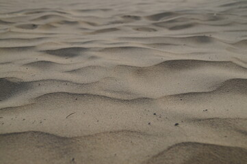 sand texture close-up - dune