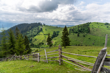 Fototapeta na wymiar Landscape Over the Bucovina. Summer Green over the Mountains. Green forest landscape bucovina romania