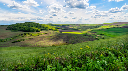 Summer green field landscape over hills with blue cloudy sky