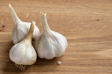 Whole garlic on the wooden background.