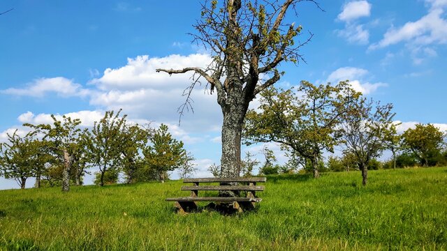 Bank in der Landschaft