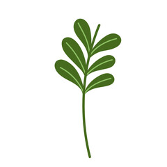 branch foliage leaf decoration cartoon icon white background