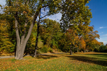 Lower part of  Kinsky garden public municipal park in Prague with old trees and grass.