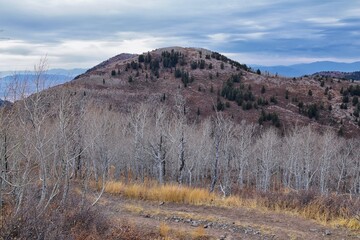 Provo Peak mountain views looking up to the top from Rock Canyon by Slide Canyon, Slate Canyon, Wasatch Front Rocky Mountain Range, Utah. United States. 