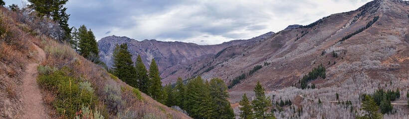 Obraz premium Provo Peak mountain views looking up to the top from Rock Canyon by Slide Canyon, Slate Canyon, Wasatch Front Rocky Mountain Range, Utah. United States. 