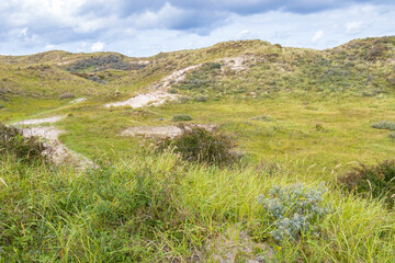 Fototapeta na wymiar Landscape with dunes under a clouded sky, national park Meijendel