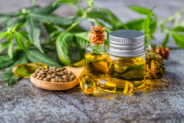 Green leaves of medicinal cannabis with extract oil.Medical marijuana flower buds. Hemp buds - medical marijuana concept