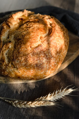 The handcrafted tartin bread lies on a wooden surface next to wheat ears. Farming and home baking concept