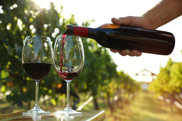 Man pouring wine from bottle into glasses at vineyard, closeup