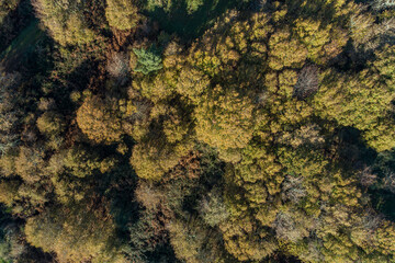 Aerial view of Atlantic Forest. Ecology concept. Spain.