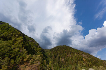 mountain covered with trees against cloudy sky, used as background or texture
