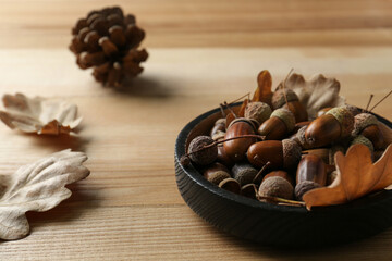 Acorns and oak leaves on wooden table