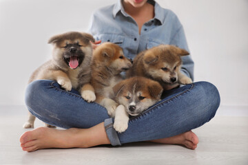 Woman with Akita Inu puppies sitting on floor near light wall, closeup