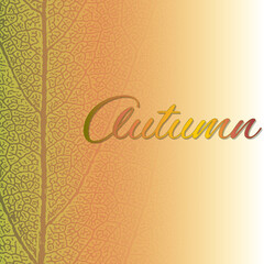 Autumn color leaf texture backgrounds with space for your text.Autumn vector design. Eps 10