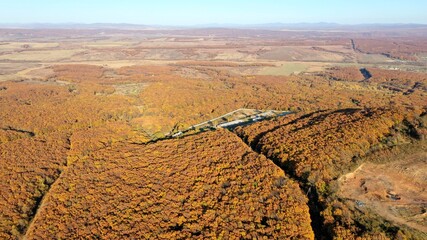 Autumn forest and hills in Russian country