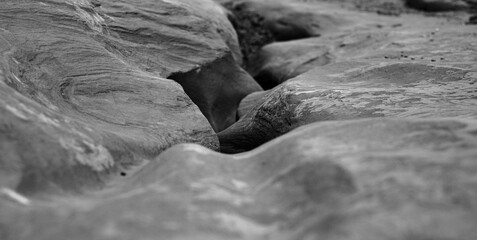 The Road Less Traveled 