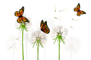 Naklejki  Dandelions with butterflies. Vector illustration