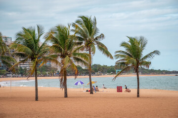 Playa paradisiaca con palmeras en verano
