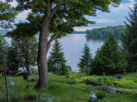 Grassy Backyard With Trees And Wooden Dock On Edge Of Lake