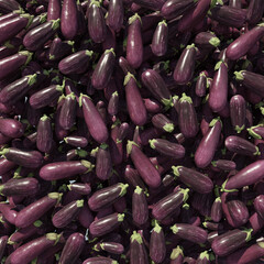 Eggplant 3d illustration isolated on the white background