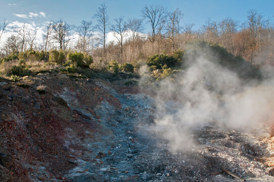 Natural geothermal phenomena at Naturalistic Park of Biancane near Monterotondo Marittimo, Tuscany, Italy.
