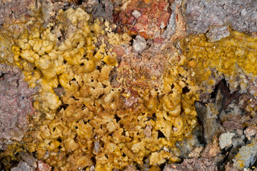 Sulfur deposit pattern at Naturalistic Park of Biancane near Monterotondo Marittimo, Tuscany, Italy.