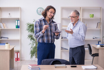 Two employees and meditation balls in the office