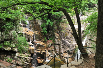 대한민국의 아름다운 무릉계곡 경관과 폭포