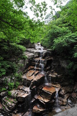 대한민국의 아름다운 무릉계곡 경관과 폭포