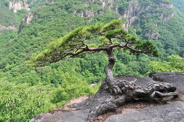 대한민국의 아름다운 무릉계곡 경관과 폭포