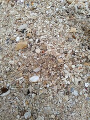 beach sand
