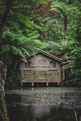 Fototapeta na wymiar Wooden house in the forest
