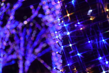 横浜のイルミネーション