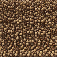 Nuts 3d illustration isolated on the white background