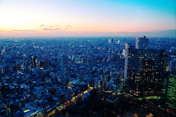 Fototapeta na wymiar 冬空の夕闇迫る新宿の街並み