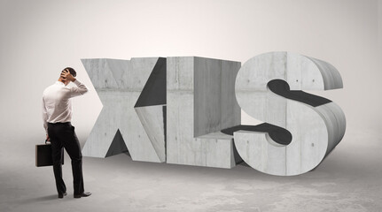 Rear view of a businessman standing in front of XLS abbreviation, modern technology concept