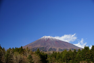 Enjoy the autum color leaves