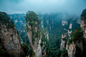 Amazing landscape of mountain and forest in the foggy at Wulingyuan, Hunan, China. Wulingyuan Scenic and Historic Interest Area which was designated a UNESCO World Heritage Site in China