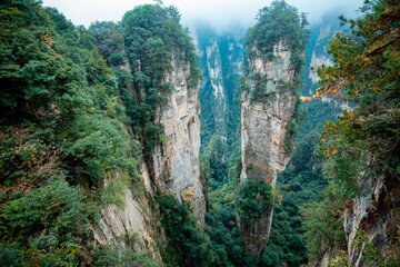 Amazing landscape of mountain and forest in the foggy at Wulingyuan, Hunan, China. Wulingyuan Scenic and Historic Interest Area which was designated a UNESCO World Heritage Site in China