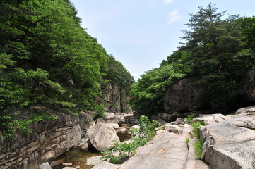 Fototapeta na wymiar Mureung Valley in Donghae City, Korea