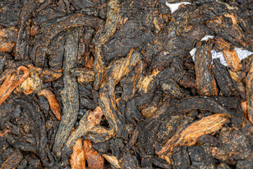 Chinese extruded aged pancake-shaped Puer tea high quality with red tea buds, macro picture